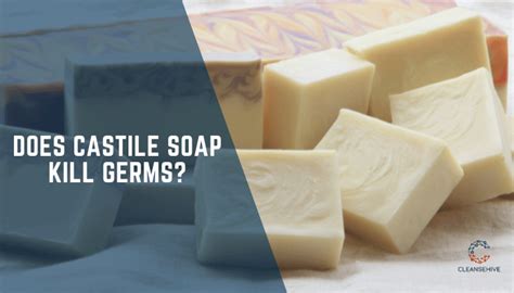 castile soap warnings|does castile soap kill germs.